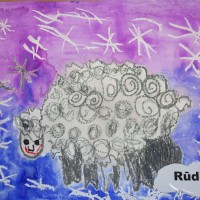 bd_raddarbi14_1.jpg