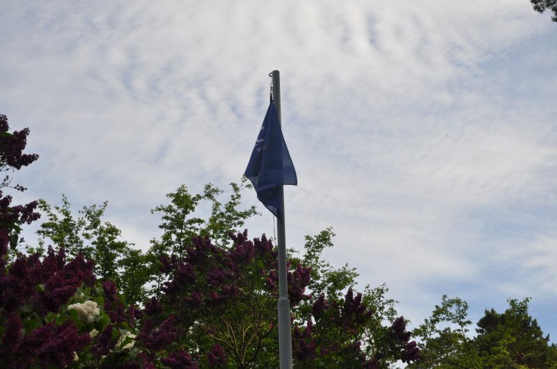 DSC_0563.JPG
