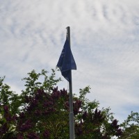 DSC_0563.JPG