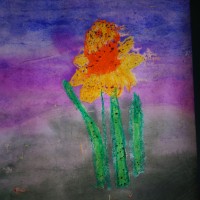 DSC07293_1_.jpg