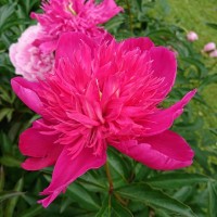 Resize_of_DSC_0011.JPG