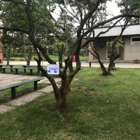 klasika4maina_res_12__1.JPG